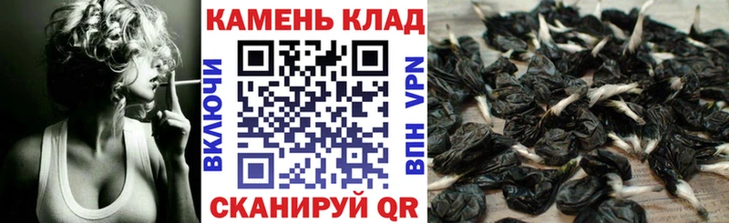 ГАШ hashish  Стрежевой 