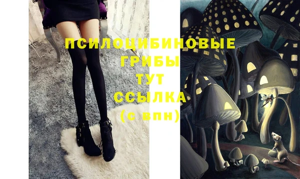 не бодяженный Нязепетровск