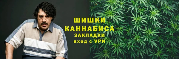 PSILOCYBIN Няндома