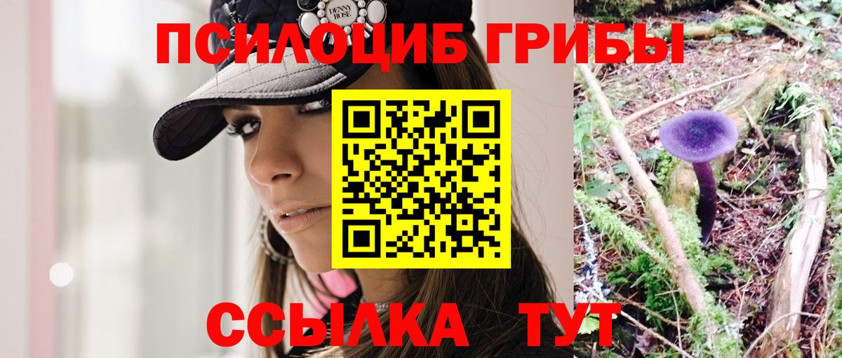 Галлюциногенные грибы мицелий Стрежевой